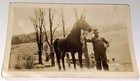 Rare Antique Vintage Old Farmer   Beautiful Horse  Cows Landscape Snapshot Photo