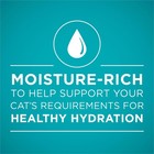 Purina One Grain-free Natural Mix  Wet Cat Food With Meat Sauce  3 Oz Can