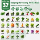 37 Varieties Vegetable Seeds Kit  20000  Non-gmo Usa Sourced Heirloom Green