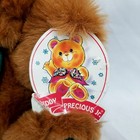 Vintage Dandee 12  Brown Plush Teddy Precious Jr Bear W  Tag Bow Tie