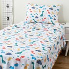 Twin Dinosaur Sheets Set For Kids Boys Bedding Set