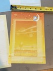 Vintage Blue Bear Morning Glory Letter Set - Graphic Paper And Envelopes Vtg