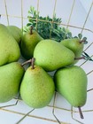 Realistic 9 Piece Faux Pears Fruit Prop Food Foam Fake Decor Fall Home Staging