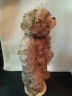 Vintage Steiff Mohair Teddy Bear 9 5  W blank Button