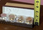 Vtg Deluxe Chrome Gold Silver Mini Salt Pepper Shaker Set Japan 1960s Mcm Small 
