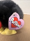 Puffkins  strut  The Turkey Beanie Plush