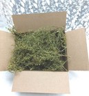 Sweet Annie Dried Shorts Non Gmo Box Full 2025 Crop Rjpe   3day Shipping  