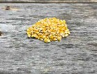 Glyphosate-tolerant  roundup Ready  Seed Corn