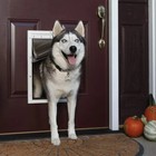Petsafe Extreme Weather Pet Dog Door Large