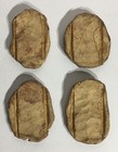 Pre-columbian Tribal Animal Symbols Handmade Clay Medallions Antique Artifact