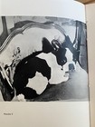 Very Rare Limited Edition French Bulldog Dog Book 1957  chiens De Colette 