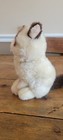 Gund Grumpy Cat 10  Stuffed Animal Plush 