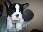 Fao Schwarz New Plush French Bulldog Boston Terrier Dog
