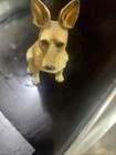 Rare Italian 7  Greyhound Realistic Lifelike Art Statue Figure