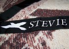 Vintage 1980s Stevie Nicks Headband Bandana Scarf Tapestry Banner Fleetwood Mac