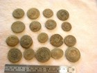 Coral Fossil Cretaceous Cycloseris Cyclolites  2 Fossil Lot 1-1 5  N africa
