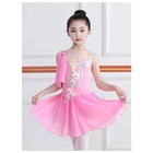 Children Ballet Dress Pink Blue White Chiffon Classical Leotard Ballet Dress