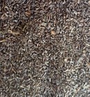 Natural Organic Harmala Seeds Wild Rue  Peganum Harmal                      
