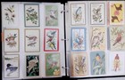 Random Lot Of 30 Vintage To Modern Playing Cards  Junk Journaling Collage Art