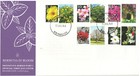 Bermuda British Commonwealth Bloom Flowers 3 Fdc Part I ii iii Xxx Lot  bcl 210 