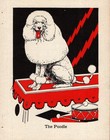 1940 Antique Poodle Print Vintage Diana Thorne Poodle Dog Art 6319b