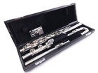 Di Zhao Dza-100 Alto Flute Curved Straight Headjoint Split E Alto New