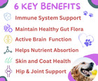 Freydell Pets Multivitamin Dog Supplement glucosamine  Omega Fish Oil  Probiotic