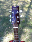 Washburn D10 N Acoustic Guitar With  Soft Case
