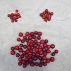 Faux Cranberries Lychee Fruit Blood Orange Fall Fruit Artificial Realistic 85 Pc
