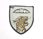 Arvn Sf Mobile Strike Force Command Airborne Mike Force Vietnam War Patch