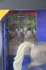 Breyer Horse - Color Crazy Treasure Hunt  1326 Rejoice   Amber