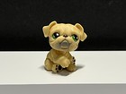 Littlest Pet Shop Hasbro 2004 G1     Lps  107 Tan Bulldog Green Eyes Authentic