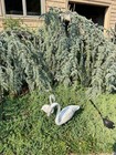 Vintage Pair Of Pink Metal Flamingo Outdoor Lawn Garden Statues Aluminum
