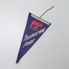 Vintage Felt Souvenir Pennant Flag Yellowstone National Park Bear 50s Mcm