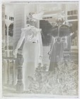Antique Glass Plate Negative   Woman In Elegant Victorian-era Fashions
