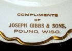 Antique Vintage Joseph Gibbs   Sons Souvenir China Roses Plate Pound Wisconsin