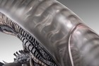 Alien Scorched Xenomorph Life-size Bust Hcg Exclusive Edition New Factory Sealed