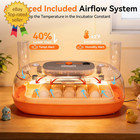 Incubators For Hatching Eggs  24 Egg Incubator automatic Egg Turner With Humidit
