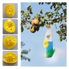 10pack Hornet Traps Outdoor Hanging Indoor Reusable Wasp Traps   
