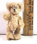 Little Gem Teddy Bear  sugar Bean  Hand Crafted By Chu-ming Wu
