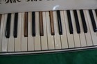 Vintage Accordion Firenze Made In Italy