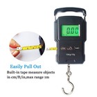 Portable Electronic Hook Scale Digital Hanging Bag Luggage Weight Scale Fishi   