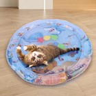 Inflatable Water Sensory Play Mat For Cats Dog 26-in Thickened Pvc Toy Bed