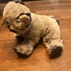 Ganz Webkinz Gray Raccoon Stuffed Animal Plush Toy