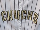 Wisconsin Woodchucks Minor League Baseball Jersey Boy Lrg Milb Northwoods Wausau