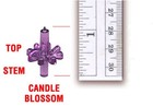 Candle Blossom 90 Pack Multi - Ceramic Christmas Tree Bulbs