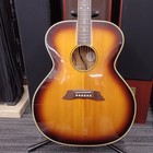 Takamine Palathetic Electric Acoustic Guitar