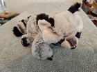 Ganz Webkinz  Plush Raccoon   Stuffed Animal  Hm143 - No Code