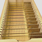14 Pig Embryo Serial Sliced Microscope Slide Set Embryology Antique Turtox