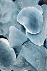 3 Pounds Of High Quality Rare Blue Georgetown Flint  big Spalls  Flint Knapping